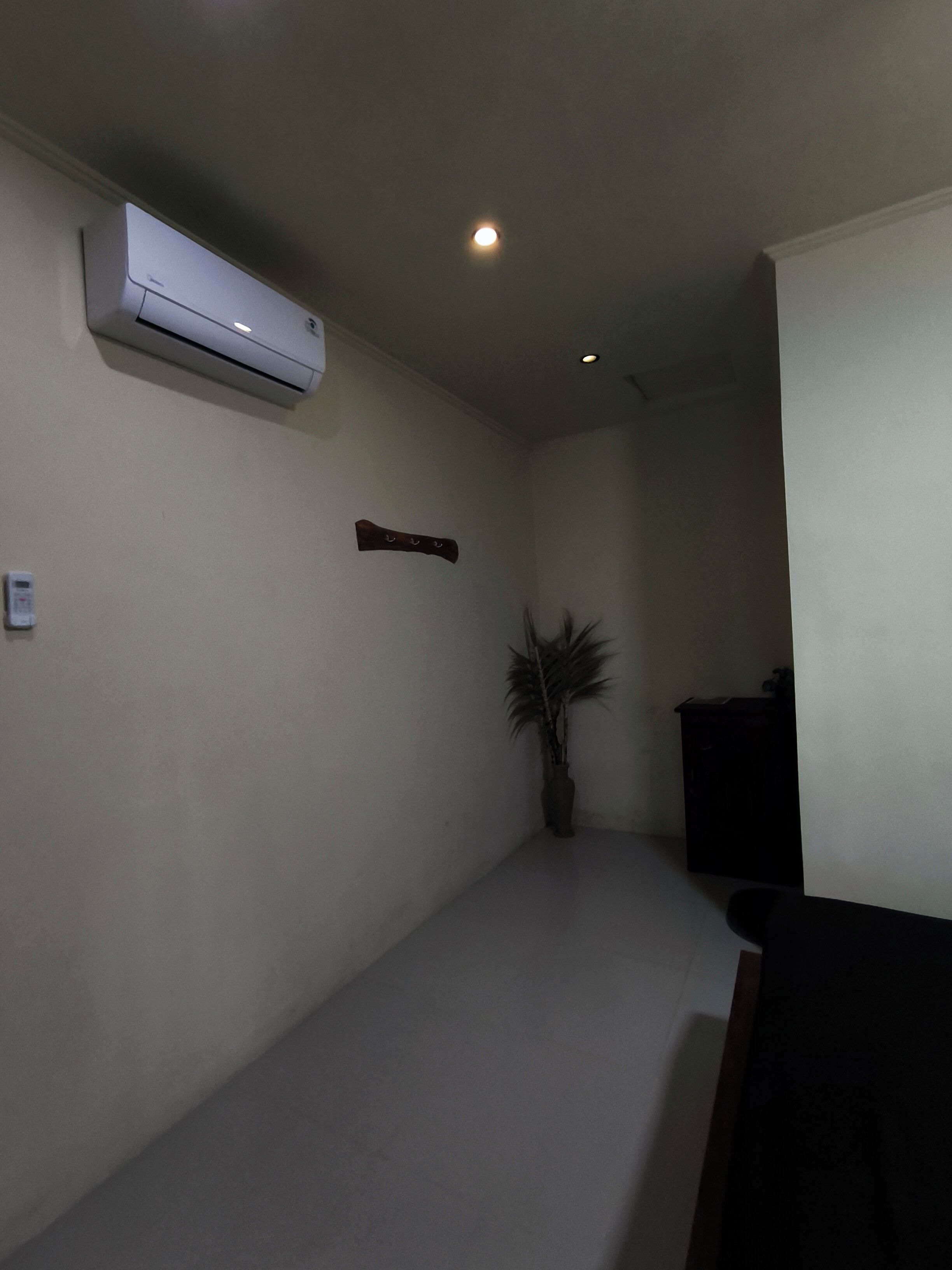 A narrow hallway with a ceiling-mounted air conditioner, a potted plant, and a dark piece of furniture.