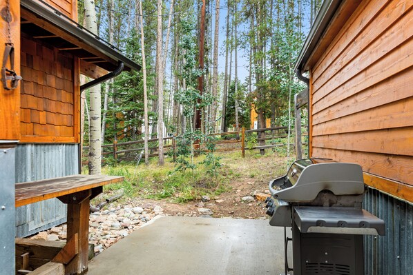 Property grounds - 5 mins to Breck, Mtn View, Hikes Galore! (Breckenridge)