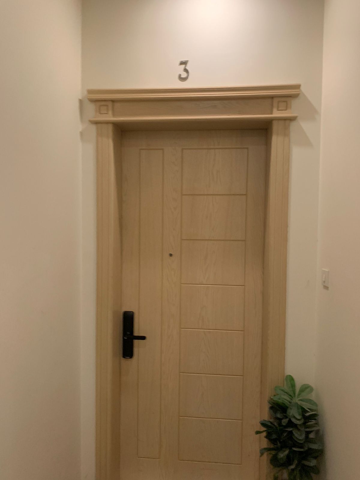 A wooden door with a black handle and a number '3' above it.