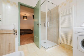 Shower, hair dryer, bidet, towels