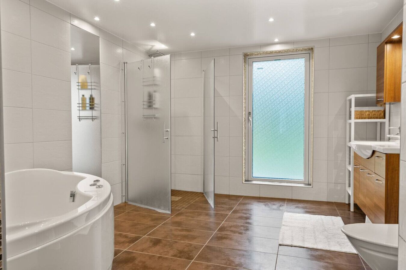 Shower, hair dryer