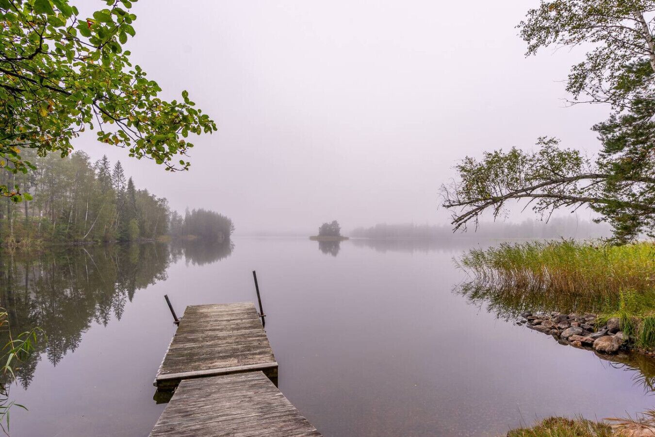 A wooden dock extending into a calm lake surrounded by trees and vegetation.