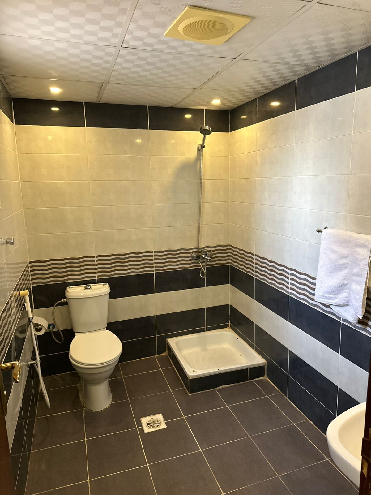 Ein Badezimmer mit Toilette, Dusche und Badewanne.