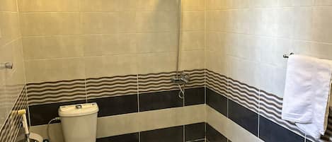 A bathroom with a toilet, shower, and bathtub.