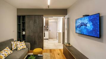 Flat-screen TV