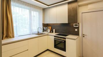 Fridge, oven, stovetop, dishwasher