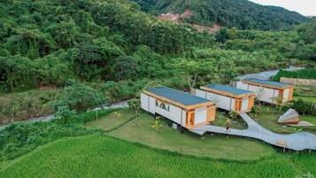 واي فاي مجانًا