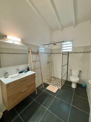 Shower, hair dryer, towels