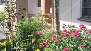 Details aan de buitenkant