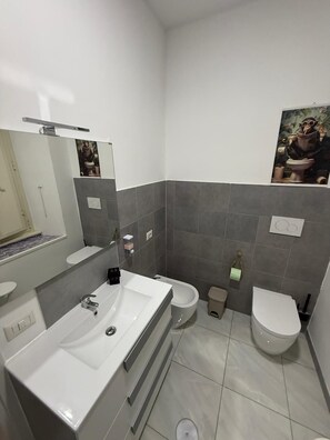 Shower, hair dryer, bidet, towels