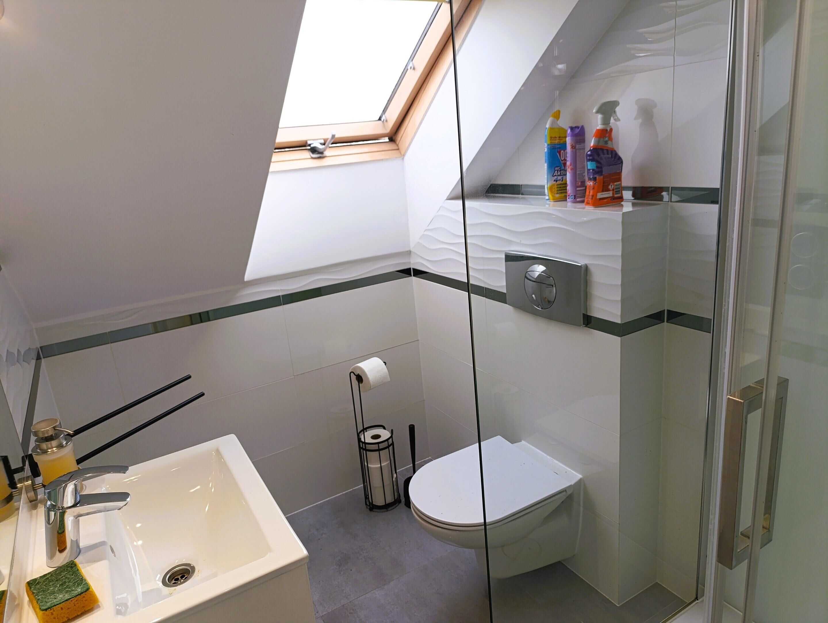A modern bathroom with a skylight, a toilet, a glass-enclosed shower, and a sink with a soap dish.