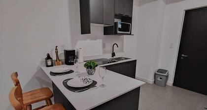 Modern apartment in San José