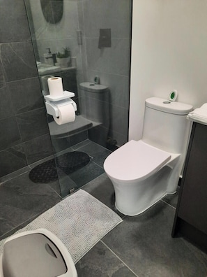 Hair dryer, towels, soap, toilet paper