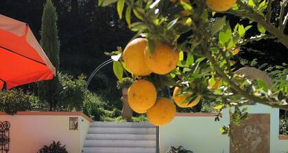 Ferienhaus mit Pool