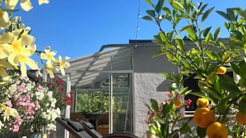 Eine Terrasse mit Liegestuhl, Kübelpflanzen und einem Gewächshaus.