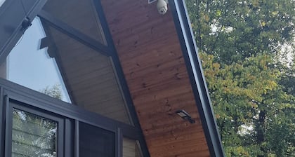 A frame cabin with AC and firepit in Baia Mare