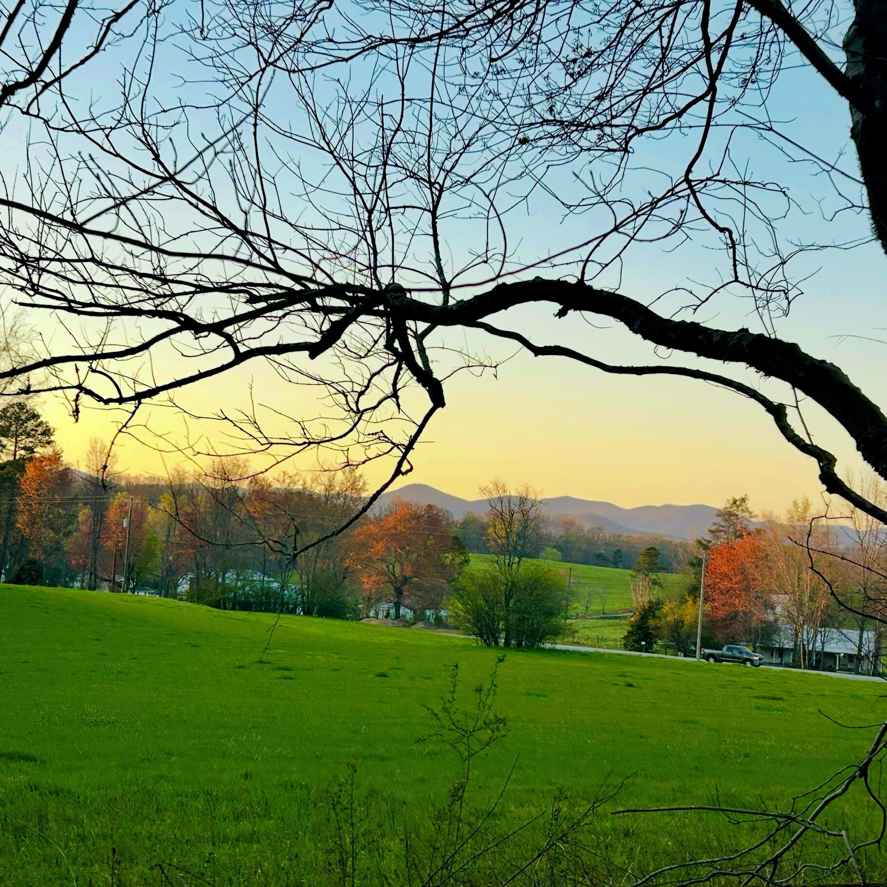 A landscape with a large tree branch in the foreground, a green field, and a mountain range in the background.