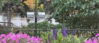 Bayside home with birds, butterflies, deer, and gardens