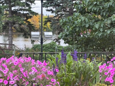Bayside home with birds, butterflies, deer, and gardens