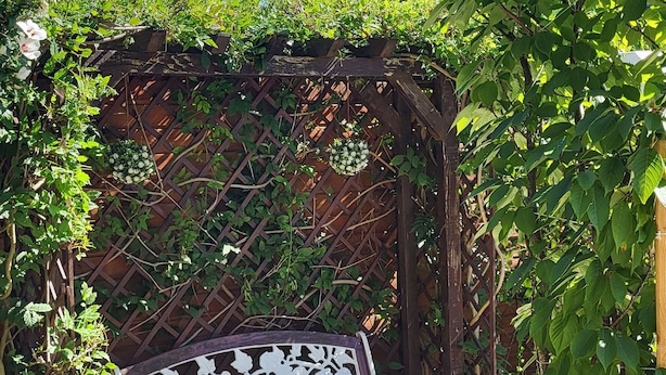 A garden with a wooden pergola, a bench, and a small tree. - Studio proche du centre de Colmar avec jardin privatif (Colmar)