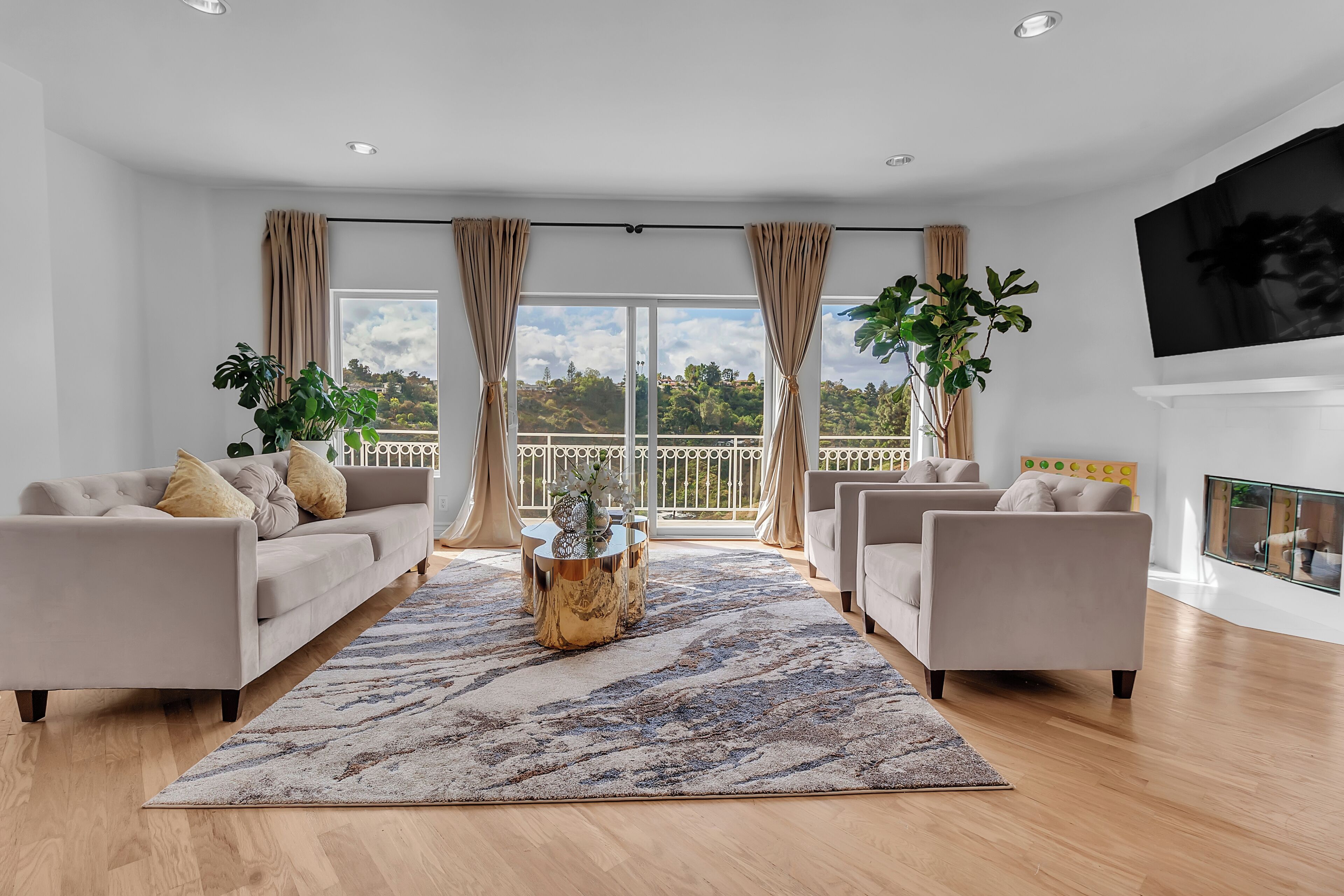 Smart-tv, pejs, bøger, stereoanlæg