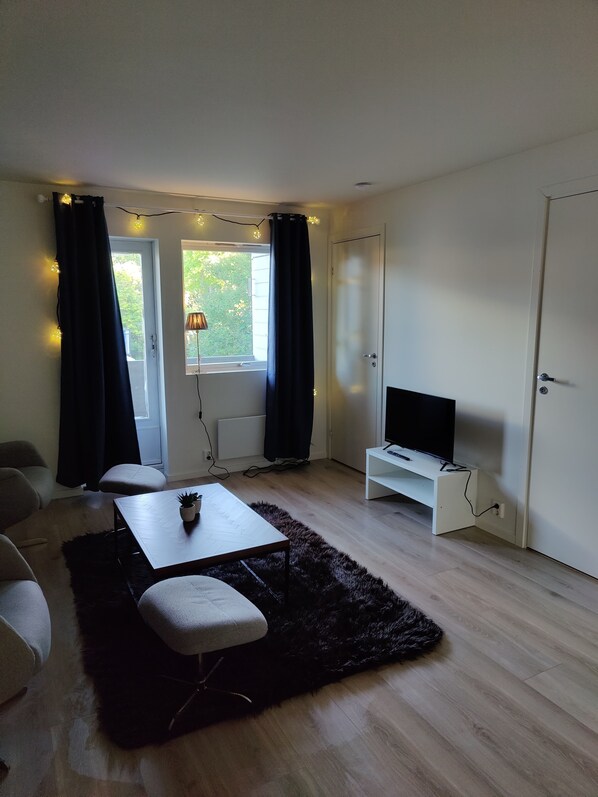 Fernseher