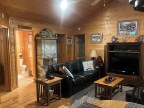 TV, fireplace, video games, DVD player