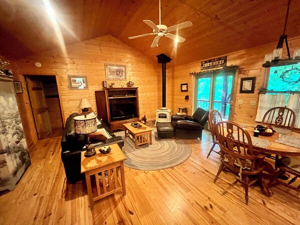 TV, fireplace, video games, DVD player