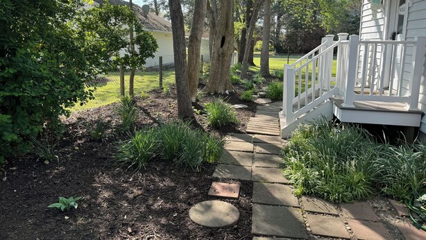 A pathway leading to a white house with a porch, surrounded by trees and a grassy yard. - Dog-friendly 2 bedroom beach bungalow with AC and outdoor fire-pit in Ocean View (Ocean View)