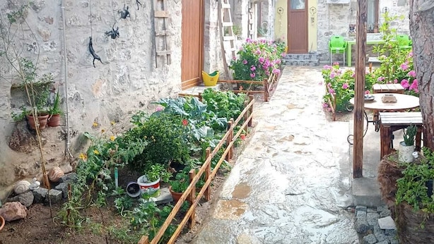 Une cour rustique avec un sol en pierre, une clôture en bois et diverses plantes en pot.