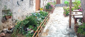 denizkizi sevilay pansiyon