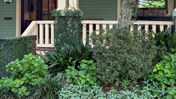 A green building with a front porch, a door, and a small garden area with various plants. - Newly Updated Historic Baton Rouge Home, Near LSU & Downtown--3 BR/Sleeps 6 (Baton Rouge)