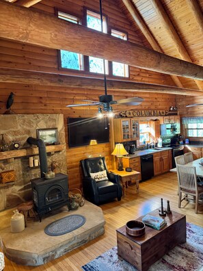 TV, fireplace, DVD player, books