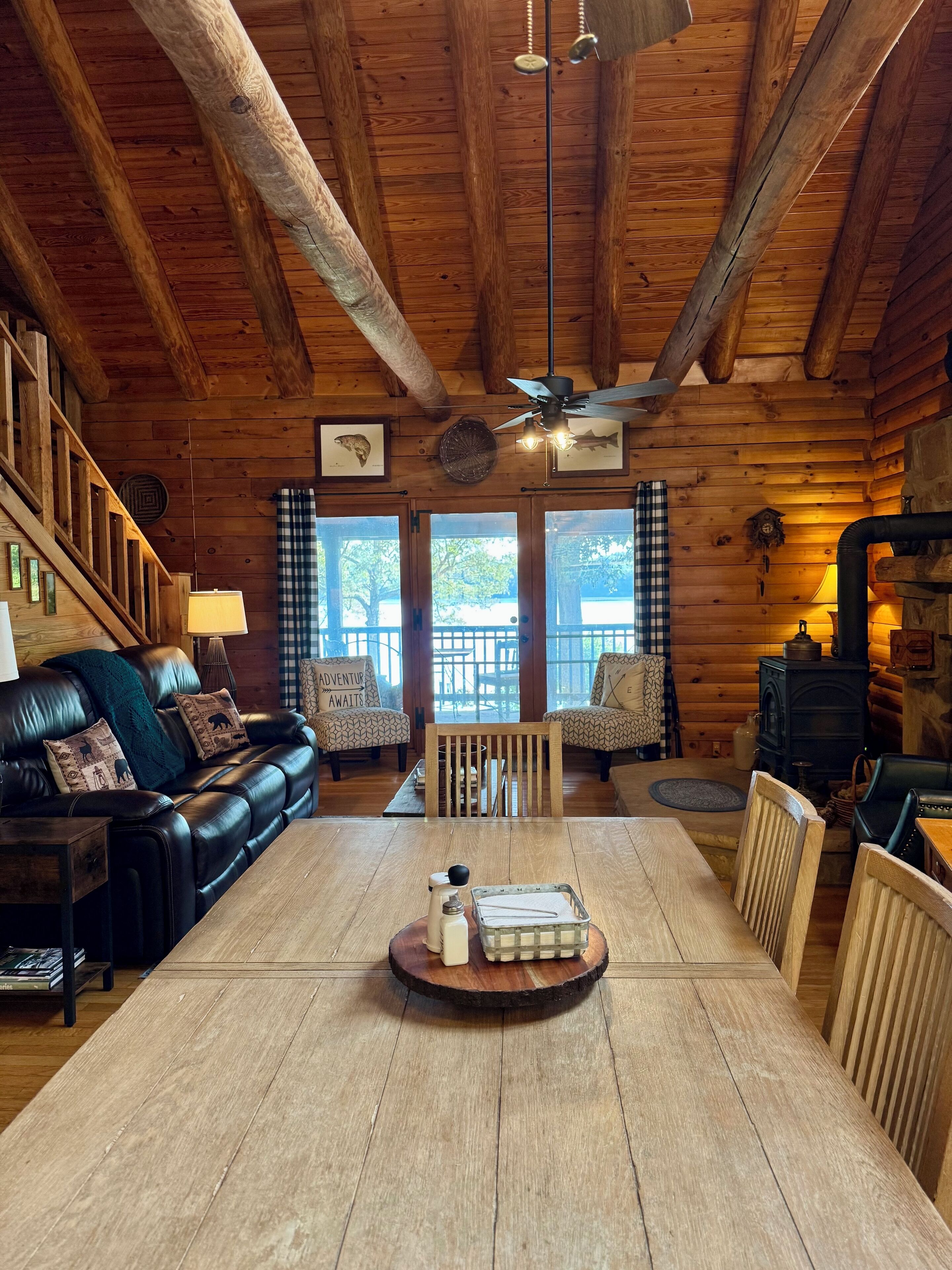 电视、壁炉、DVD 播放器、书