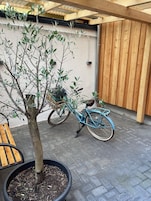 Un árbol en una maceta, una bicicleta y un banco de madera.