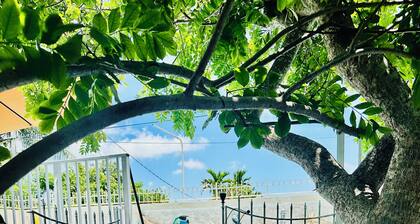 Love Story 2-bedroom pool house in Miami with free parking & BBQ