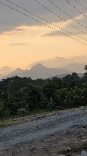 مكواة/لوح كي وواي فاي مجانًا