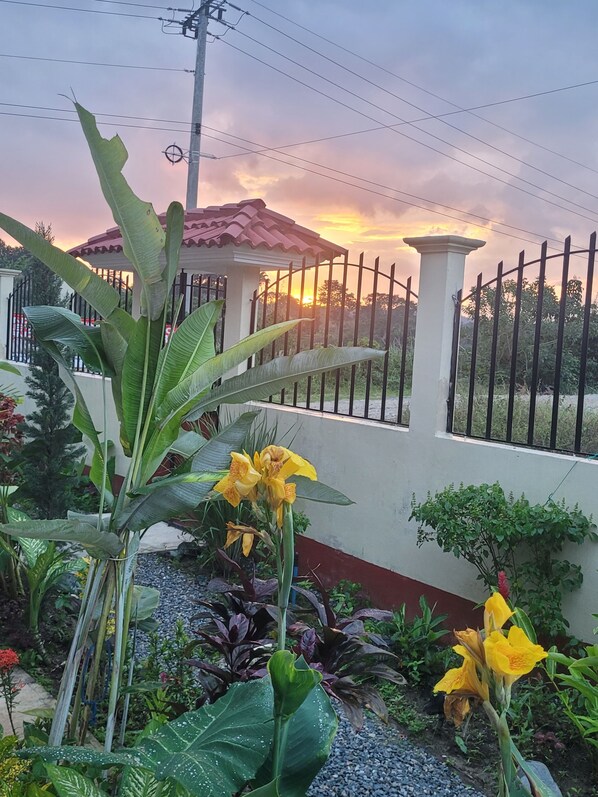 المنشأة من الخارج