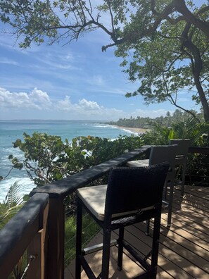 Property grounds - Eco friendly beachfront oasis (Rincón)