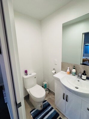 Hair dryer, towels, soap, shampoo