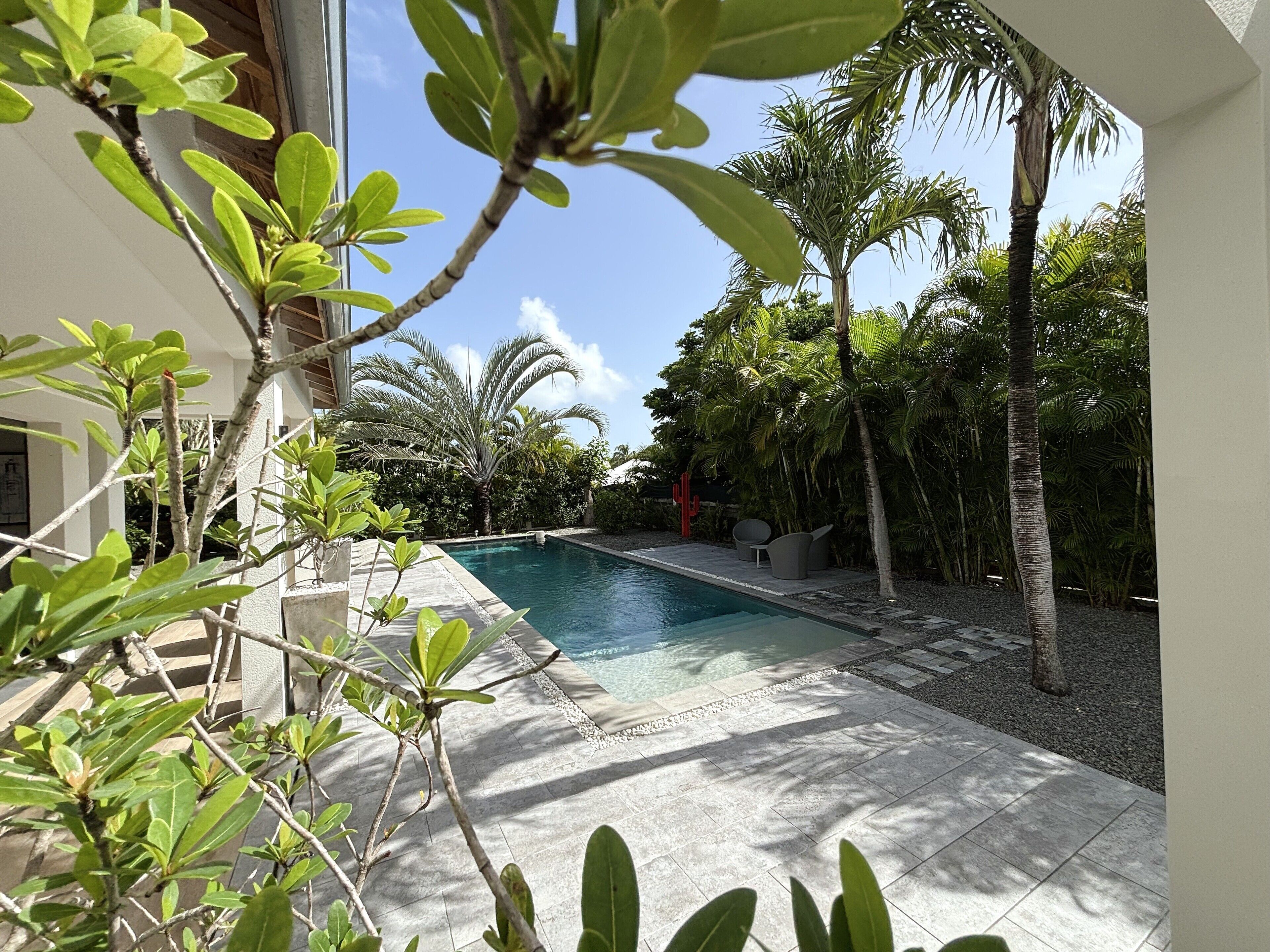 Piscina rodeada de plantas tropicales y un patio con mobiliario.