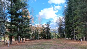 A forested area with a dirt path, trees, and a clear sky. - Beautiful Clark Fork Riverside RV site (Clark Fork)