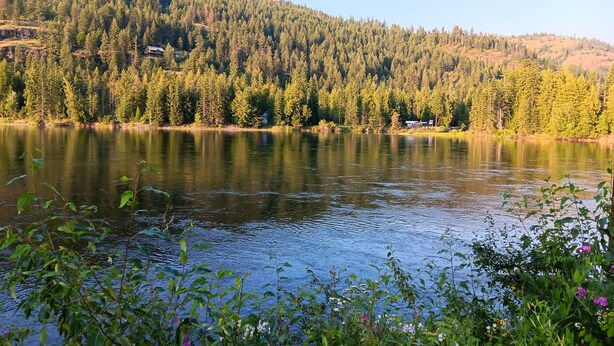 A lake surrounded by dense forest and hills. - Beautiful Clark Fork Riverside RV site (Clark Fork)