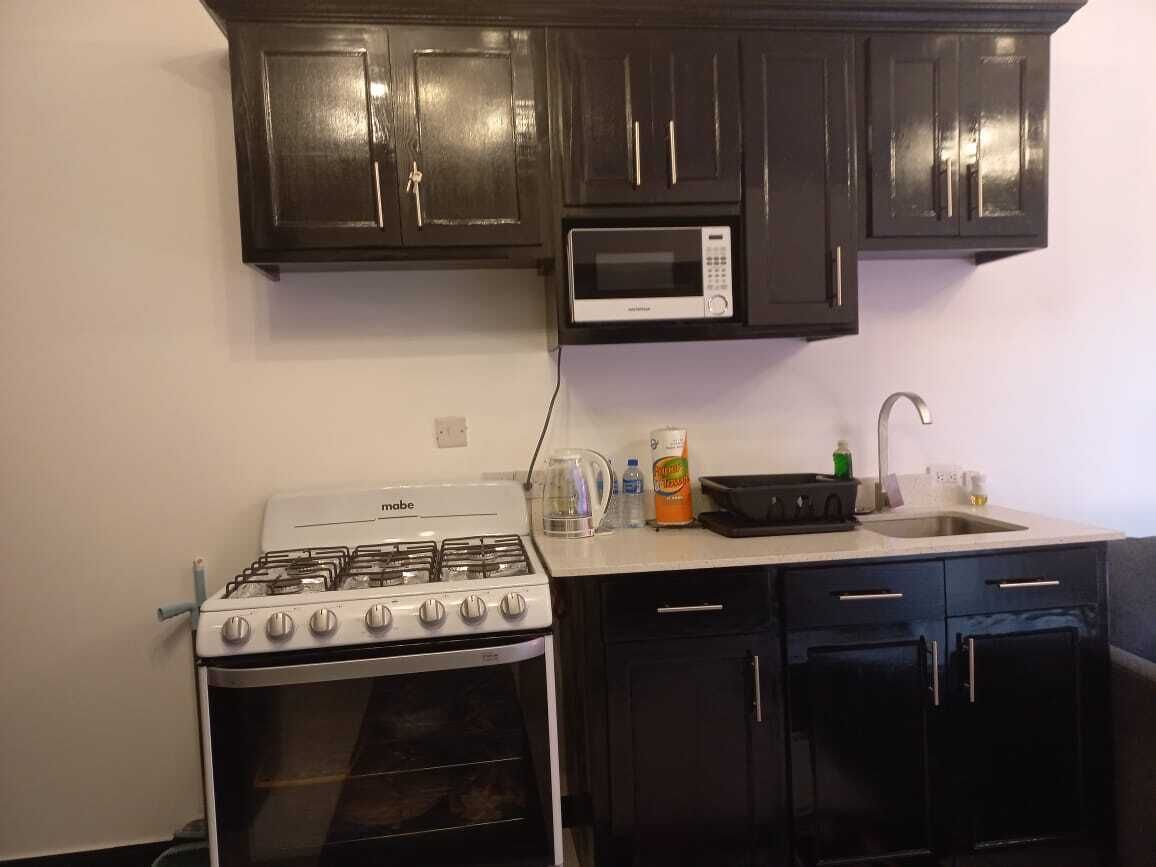 Mikrobølgeovn, ovn og kokeplater