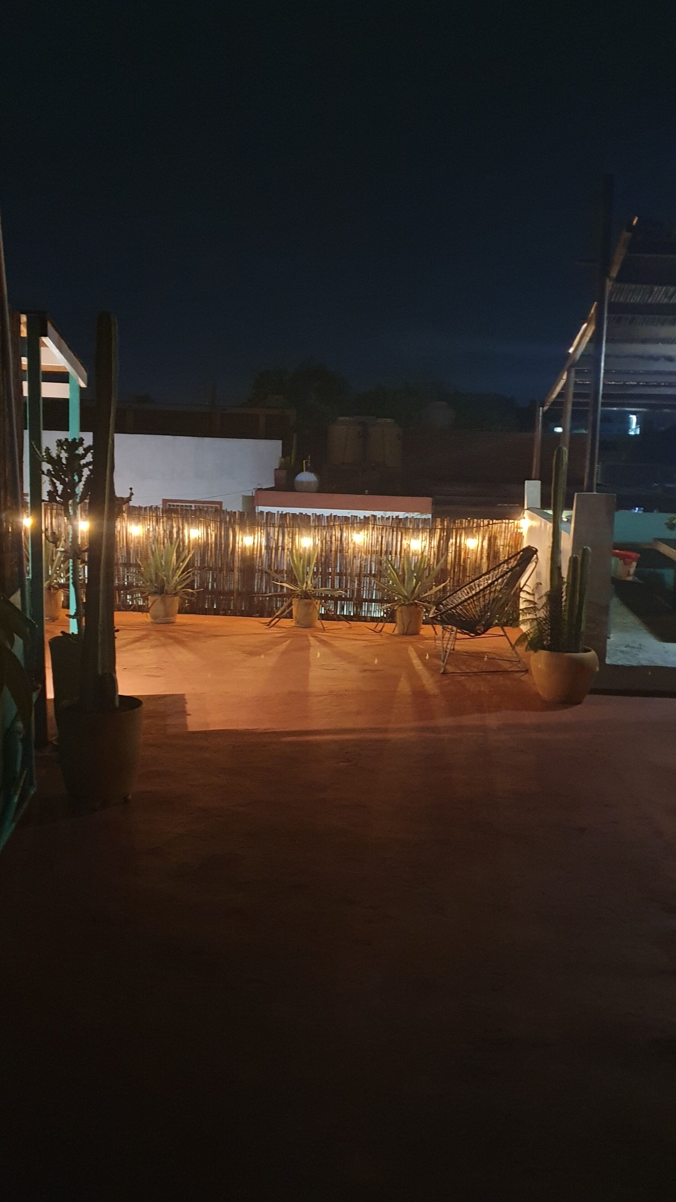 An outdoor patio area with potted plants and a hammock.