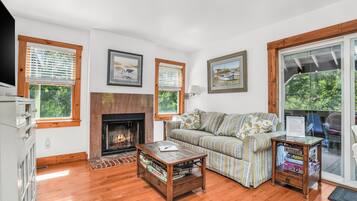 TV connectée, cheminée, lecteur de DVD, livres