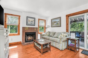 Smart TV, fireplace, DVD player, books