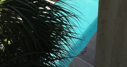 Penguins on the Beach 2/1 w/ balcony, beach, tropical oasis and pool