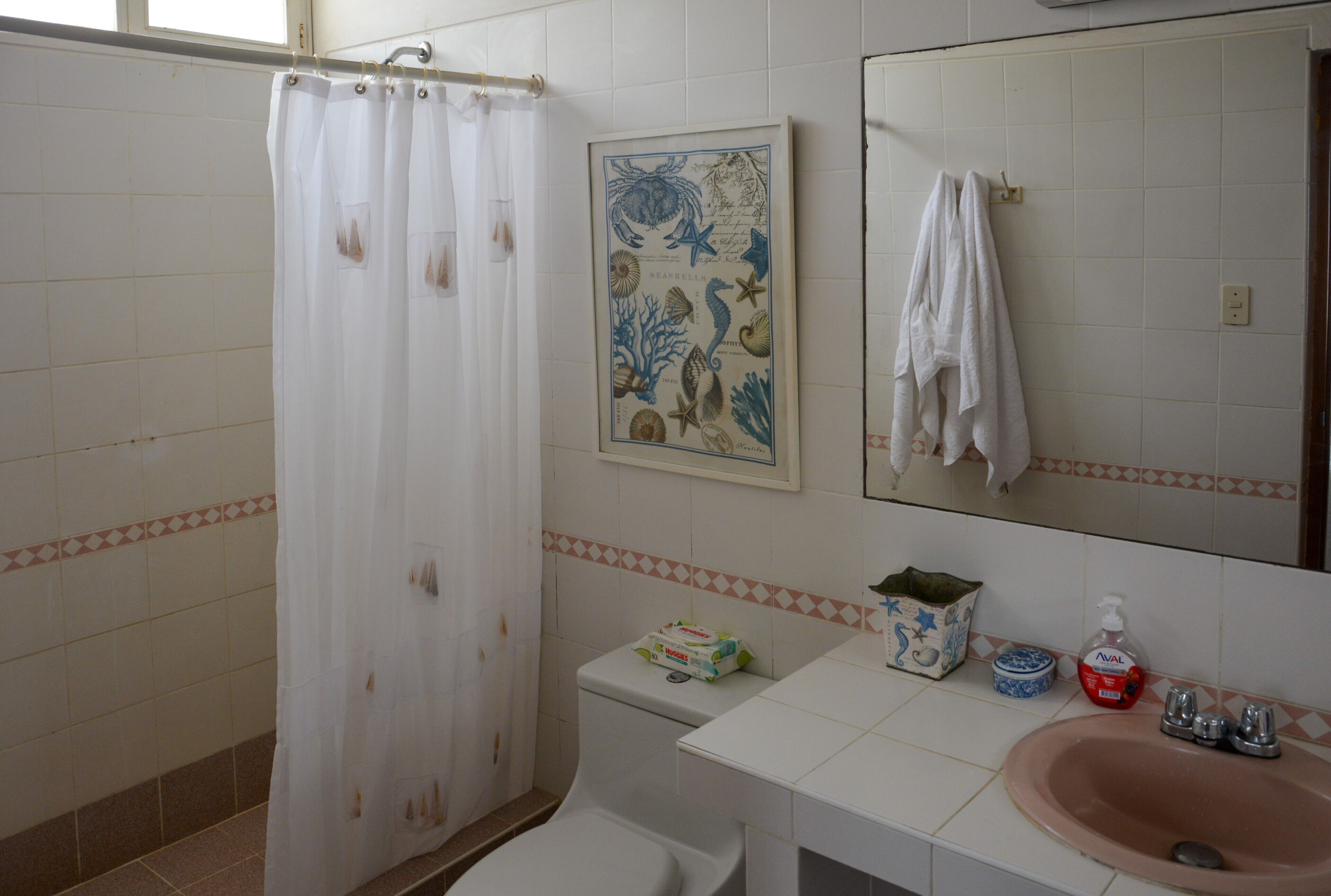 Een badkamer met douchegordijn, toilet, wastafel met spiegel en een poster met afbeeldingen van zeedieren.