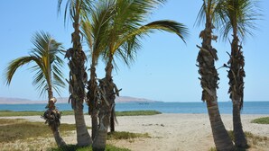 A beach with palm trees and a clear view of the ocean. - Casa Paracas by Wynwood House (Paracas)